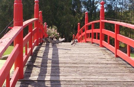 North Coast Regional Botanic Garden