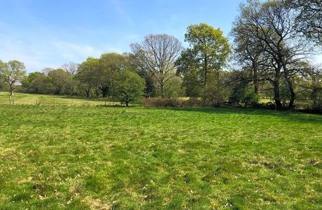 the Green Tree Gallery