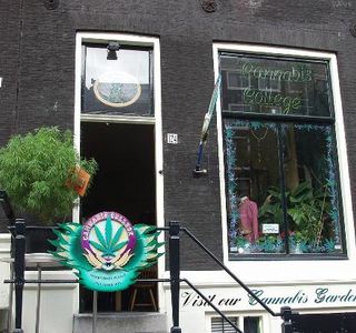 Cannabis College