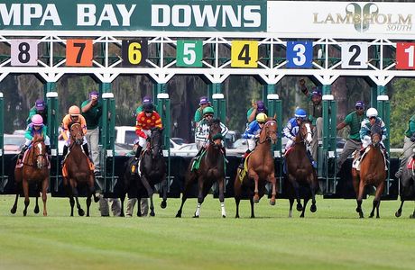 Tampa Bay Downs