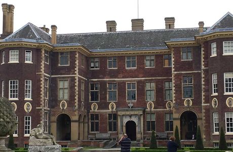 The Alligator's Mouth