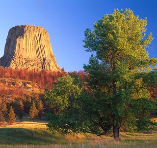 Great Basalt Wall National Park