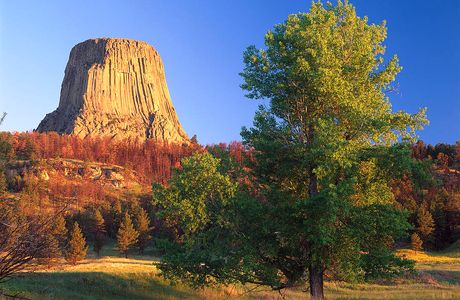 Great Basalt Wall National Park
