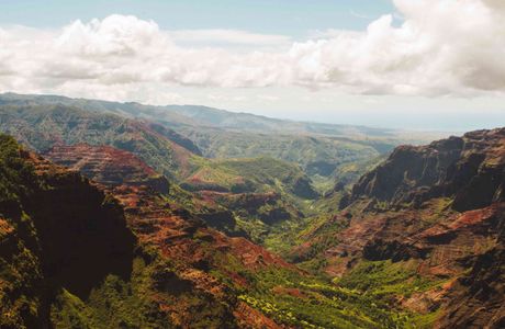 Waimea Center