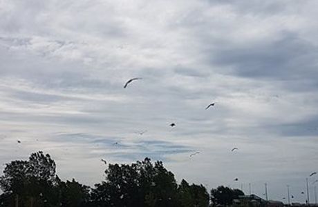 Seacliff Park