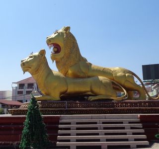Golden Lions Roundabout