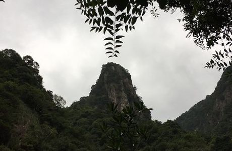 Mt. Weibao Forest Park
