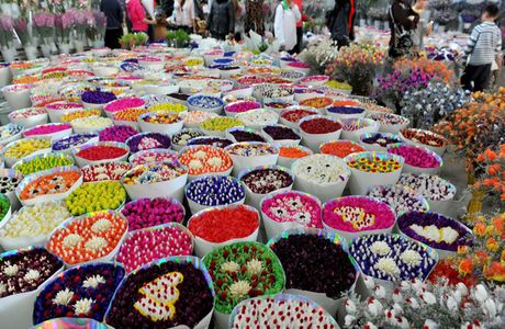 Flowers and Birds Market of Kunming