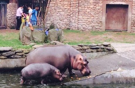 Changsha Ecological Zoo