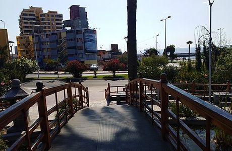 Parque Japones