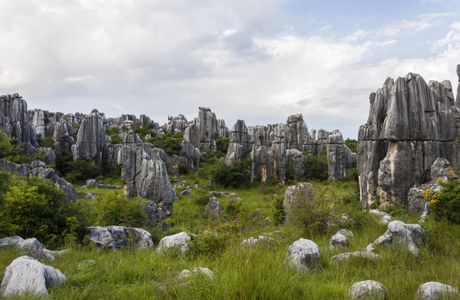 Zecha Stone Forest