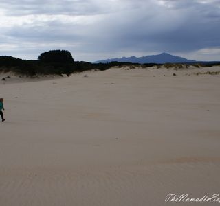 Henty Dunes