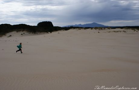 Henty Dunes