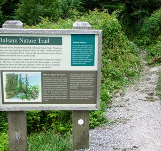 Bonney Reserve Nature Trail