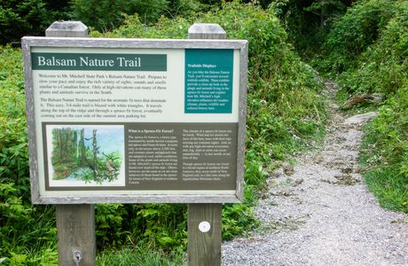 Bonney Reserve Nature Trail