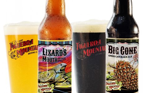 Shifty Lizard Brewing