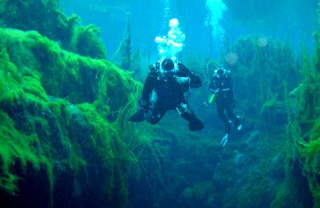 Piccaninnie Ponds Conservation Park
