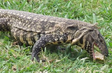 Reserva Natural del Pilar