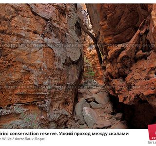 Caranbirini Conservation Reserve