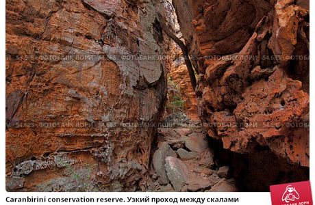 Caranbirini Conservation Reserve