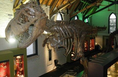 Australian Fossil and Mineral Museum