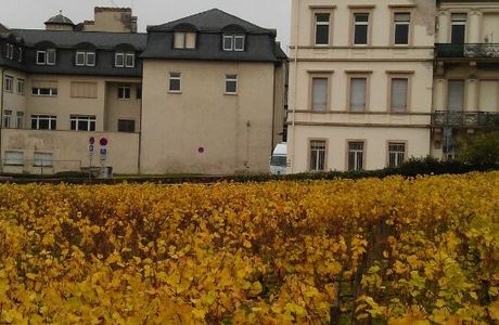 Asbach GmbH