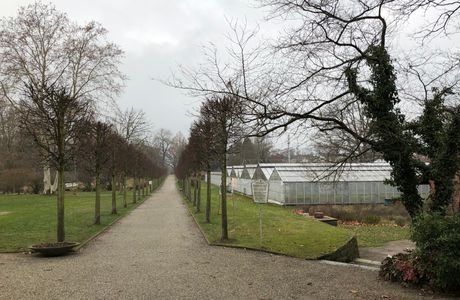Botanischer Garten Kassel