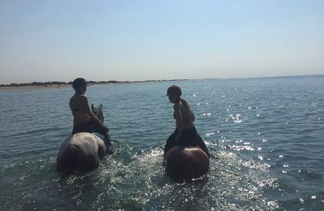 Les ecuries de l'eau blanche