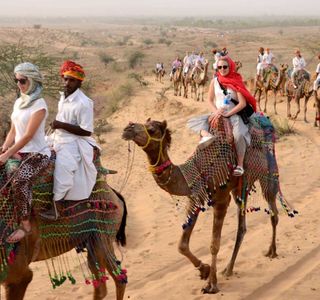 Pushkar Camel Safari