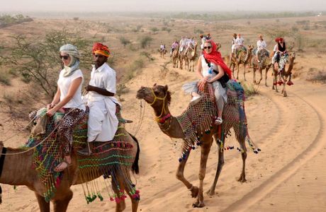 Pushkar Camel Safari