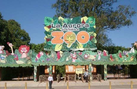 La Aurora Zoo