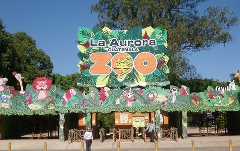 La Aurora Zoo 1