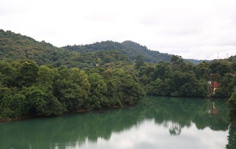 Kali Tiger Reserve 1
