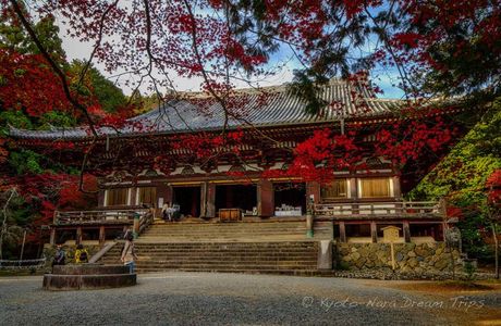 Jingo-ji Temple