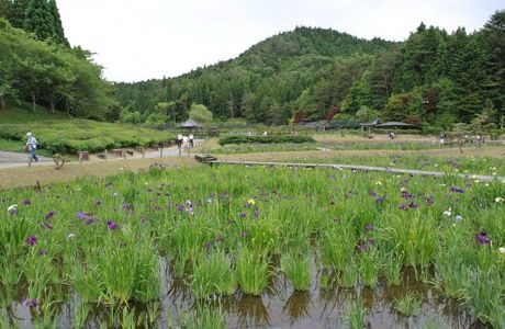 Eitakuji Temple