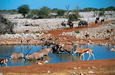 Etosha Pan