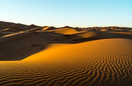 Sahara Desert