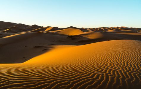 Sahara Desert 1