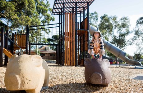 Spriggs Park Reserve Playground