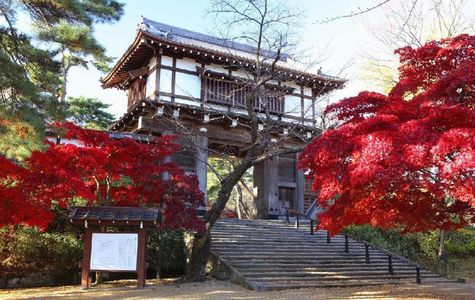 Senshu Park 1