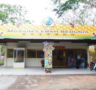 Bees Museum