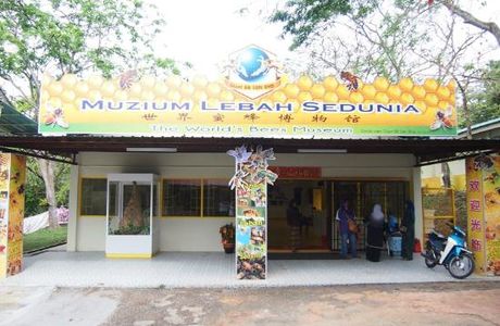 Bees Museum