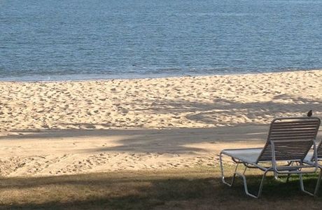 Portobello Usato
