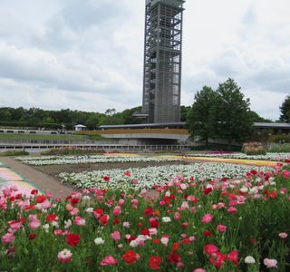 Hamanako Garden Park