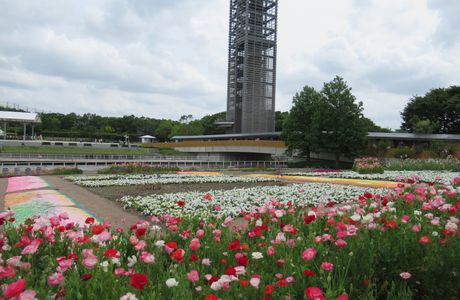 Hamanako Garden Park