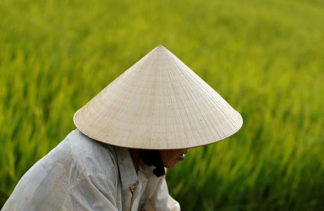 Xang Keb Nam Khlong Hat Som Pan