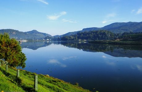 Gregory Lake