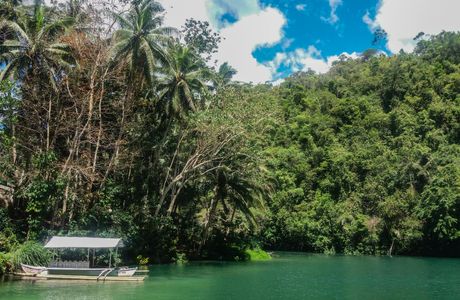 Loboc Wildlife & Nature Park
