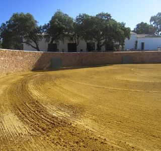 Reservatauro Ronda