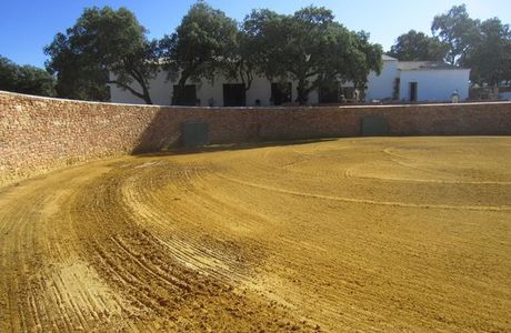 Reservatauro Ronda